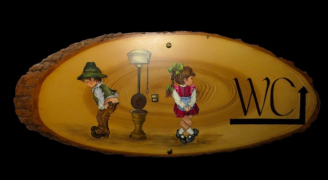 veřejné wc
